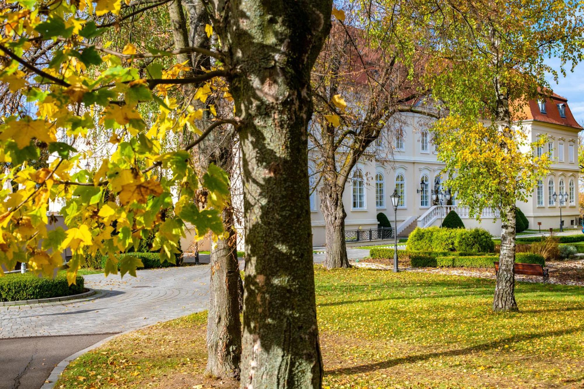 La Contessa Castle Hotel Сільвашварад Екстер'єр фото